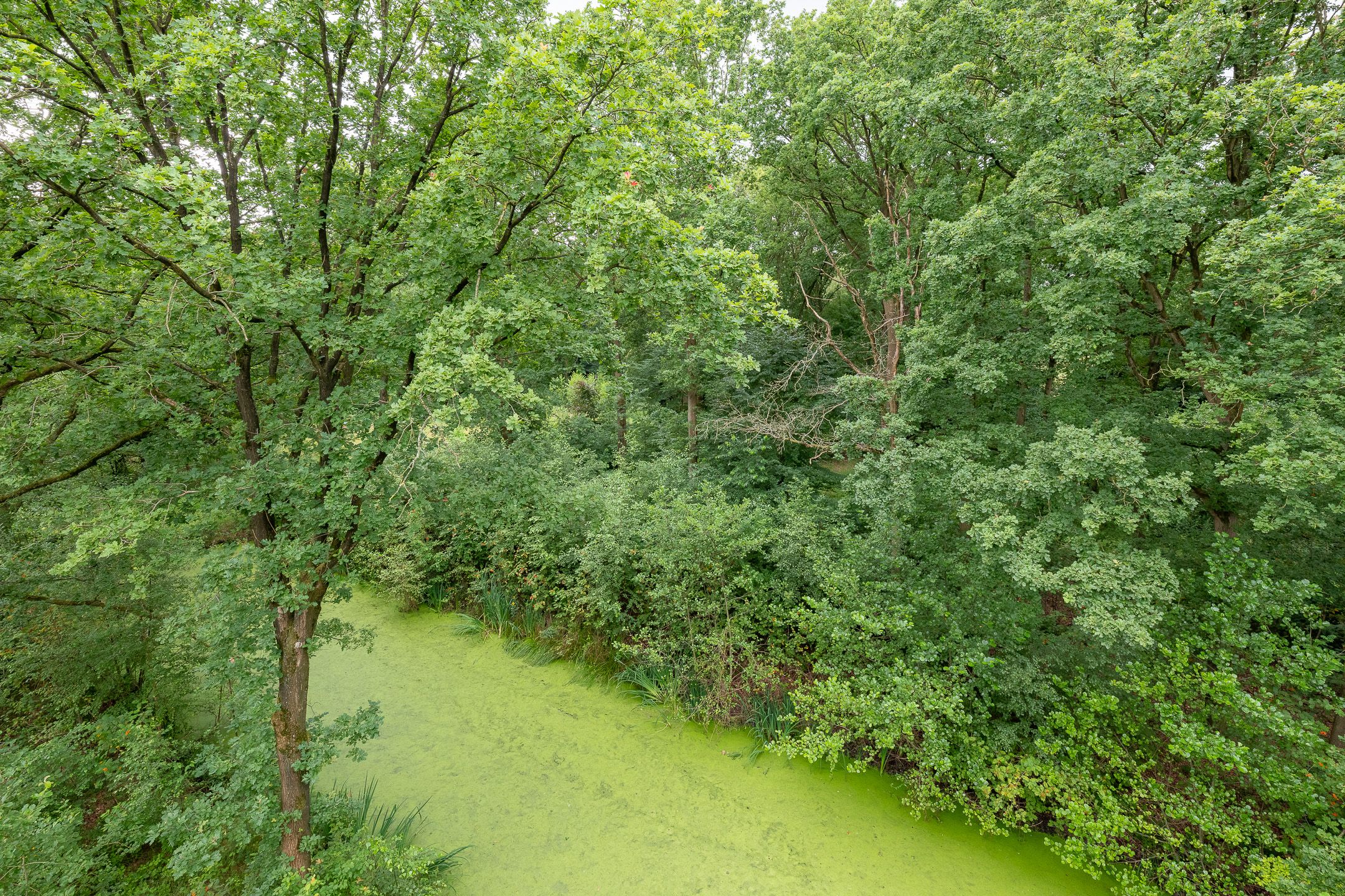 Foto 36 van Waldenlaan 52