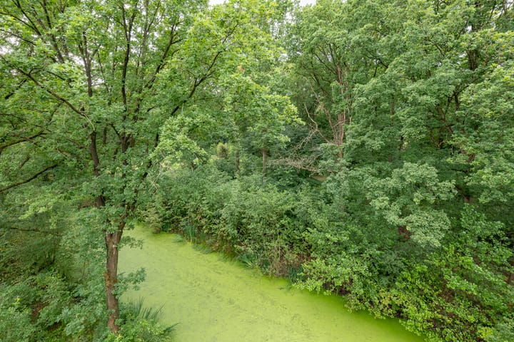 Foto 36 van Waldenlaan 52