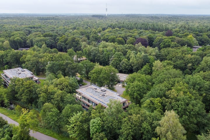 Foto 47 van Waldenlaan 52