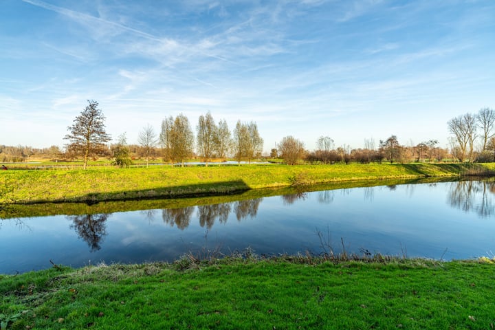 Bekijk foto 4 van Primuladuin 12