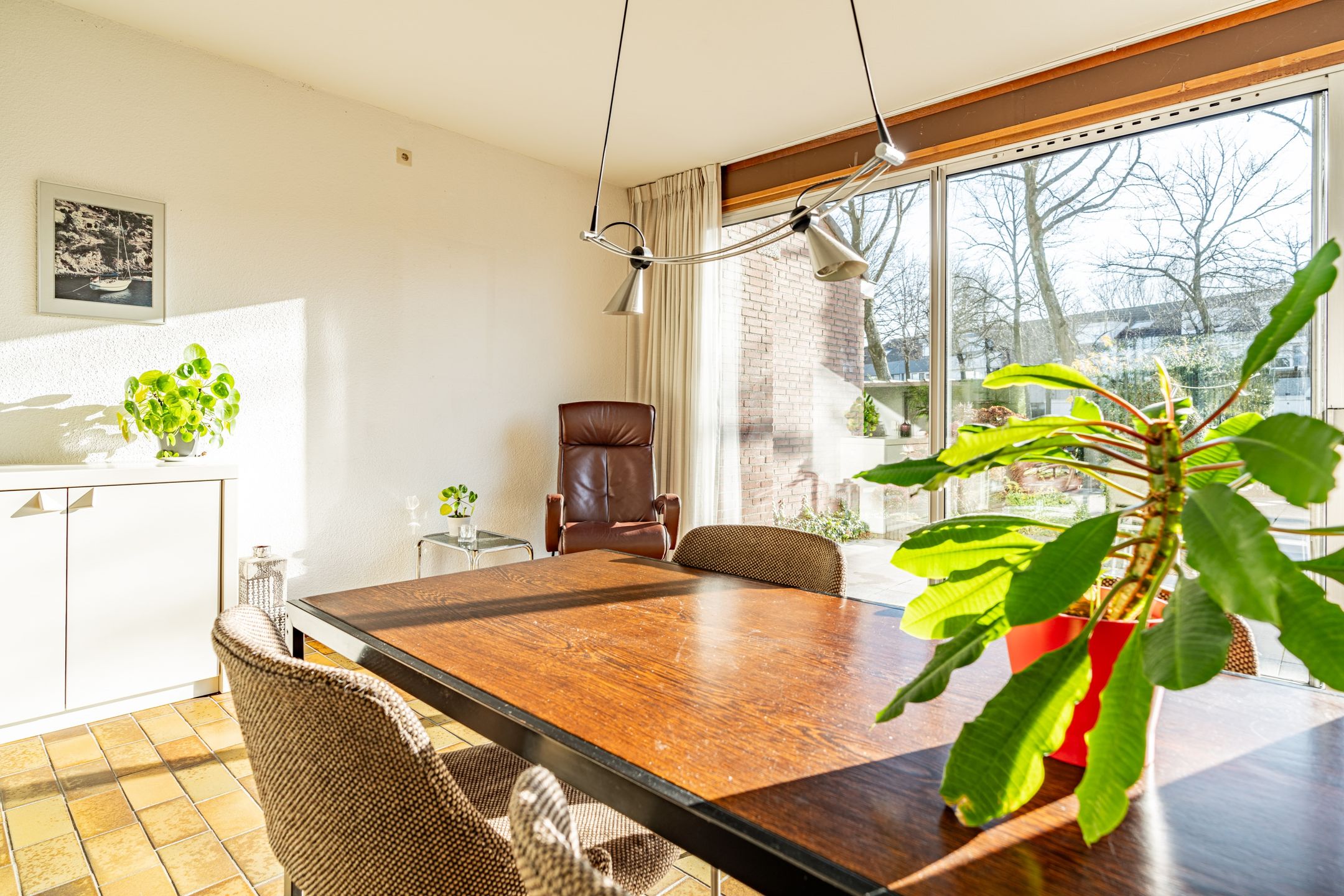 Foto 12 van Primuladuin 12