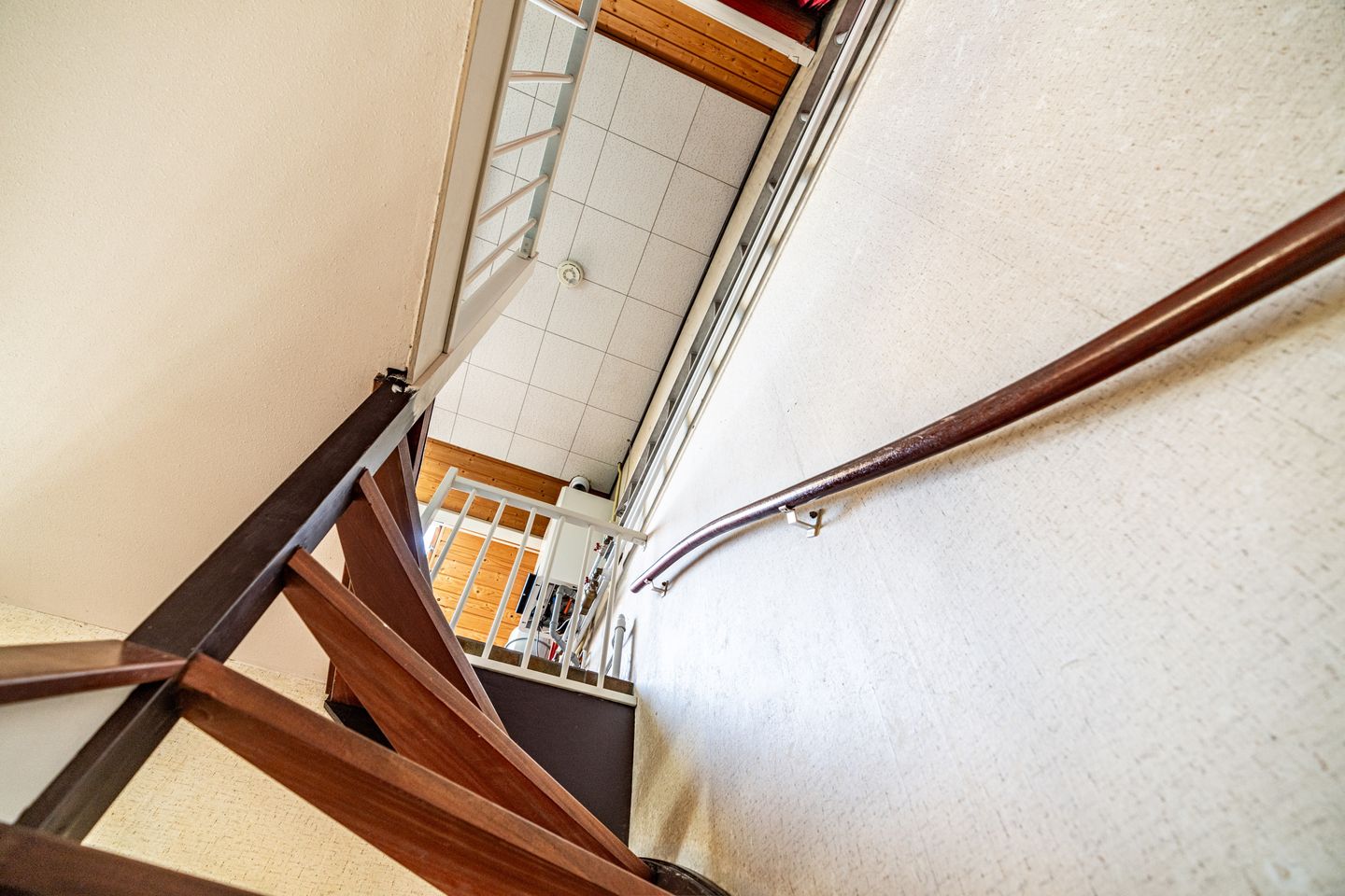 Foto 50 van Primuladuin 12