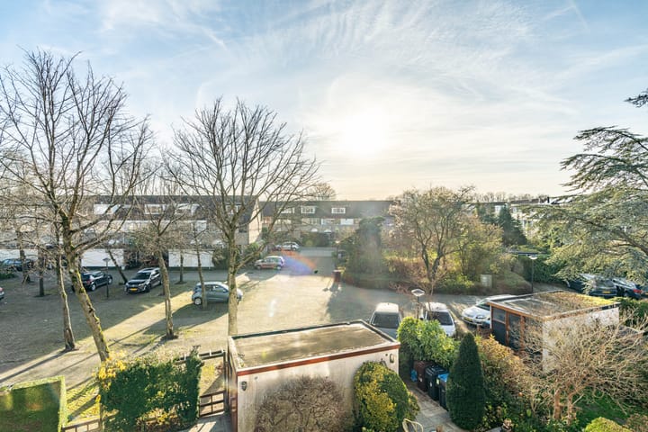 Foto 56 van Primuladuin 12