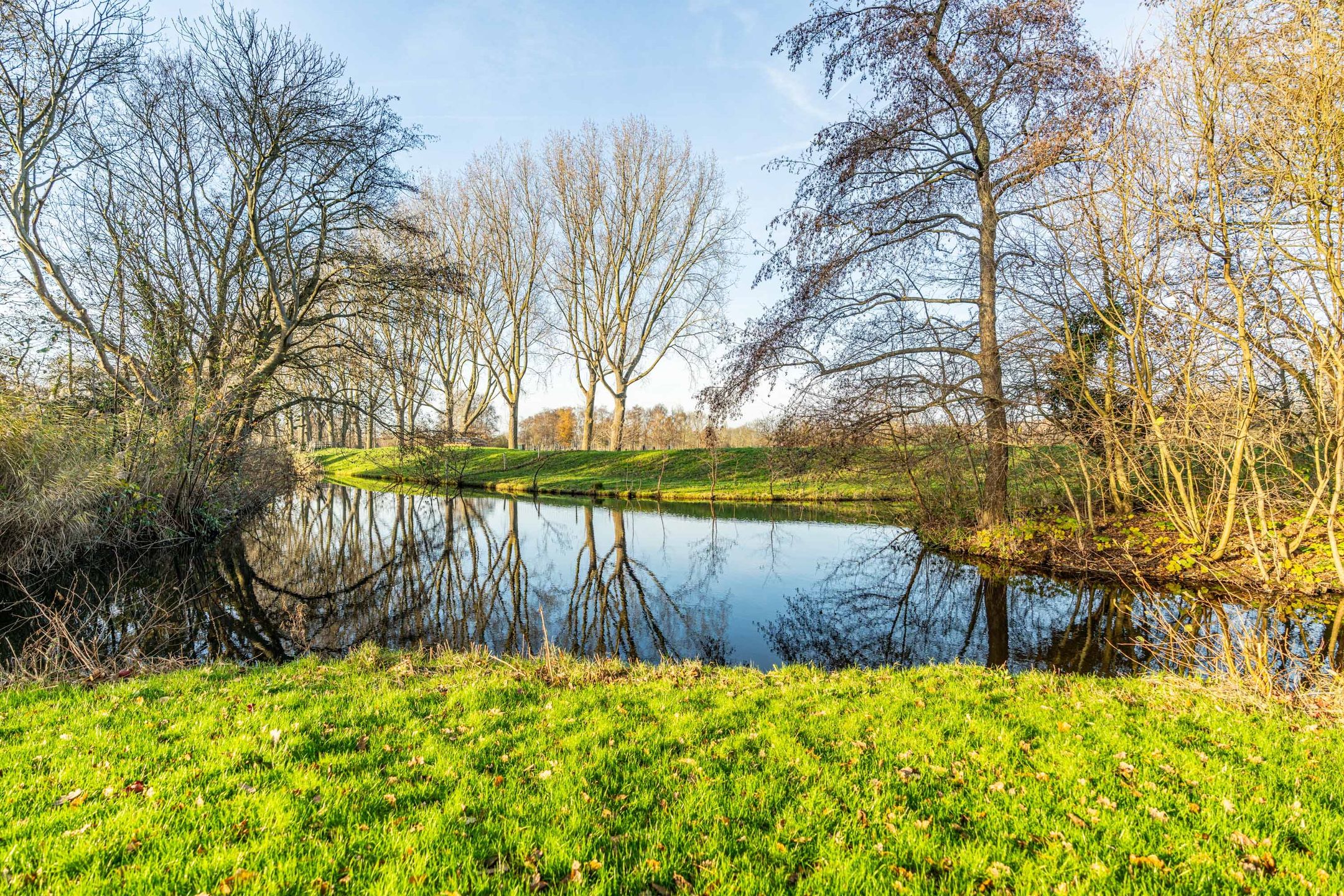 Foto 66 van Primuladuin 12