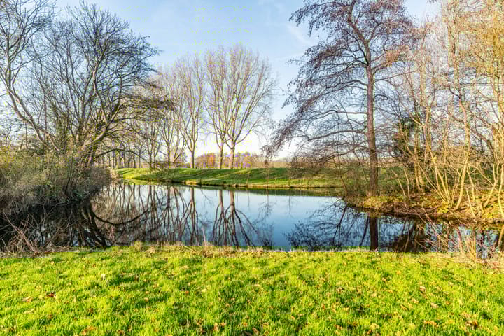 Foto 66 van Primuladuin 12