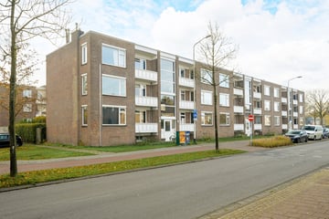 de la Reijweg thumbnail