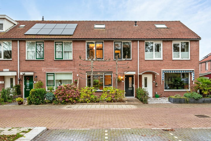 Bekijk foto 4 van Obrechtstraat 3