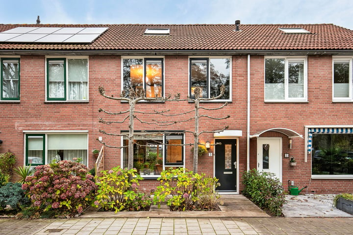 Bekijk foto 1 van Obrechtstraat 3