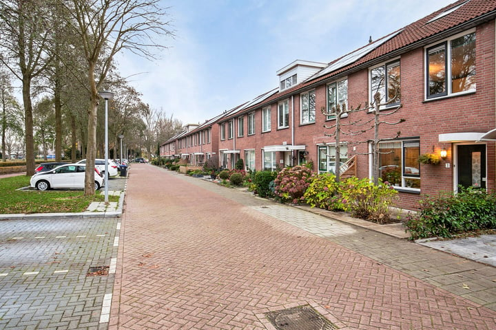 Bekijk foto 36 van Obrechtstraat 3