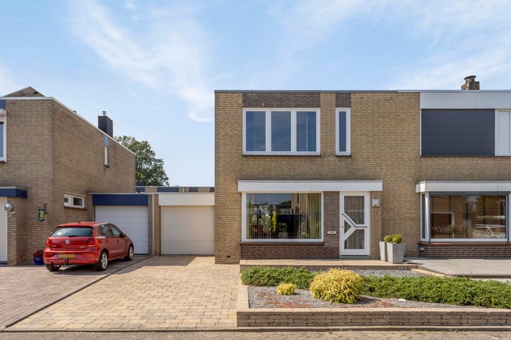 Foto 6 van Korenbloem 6