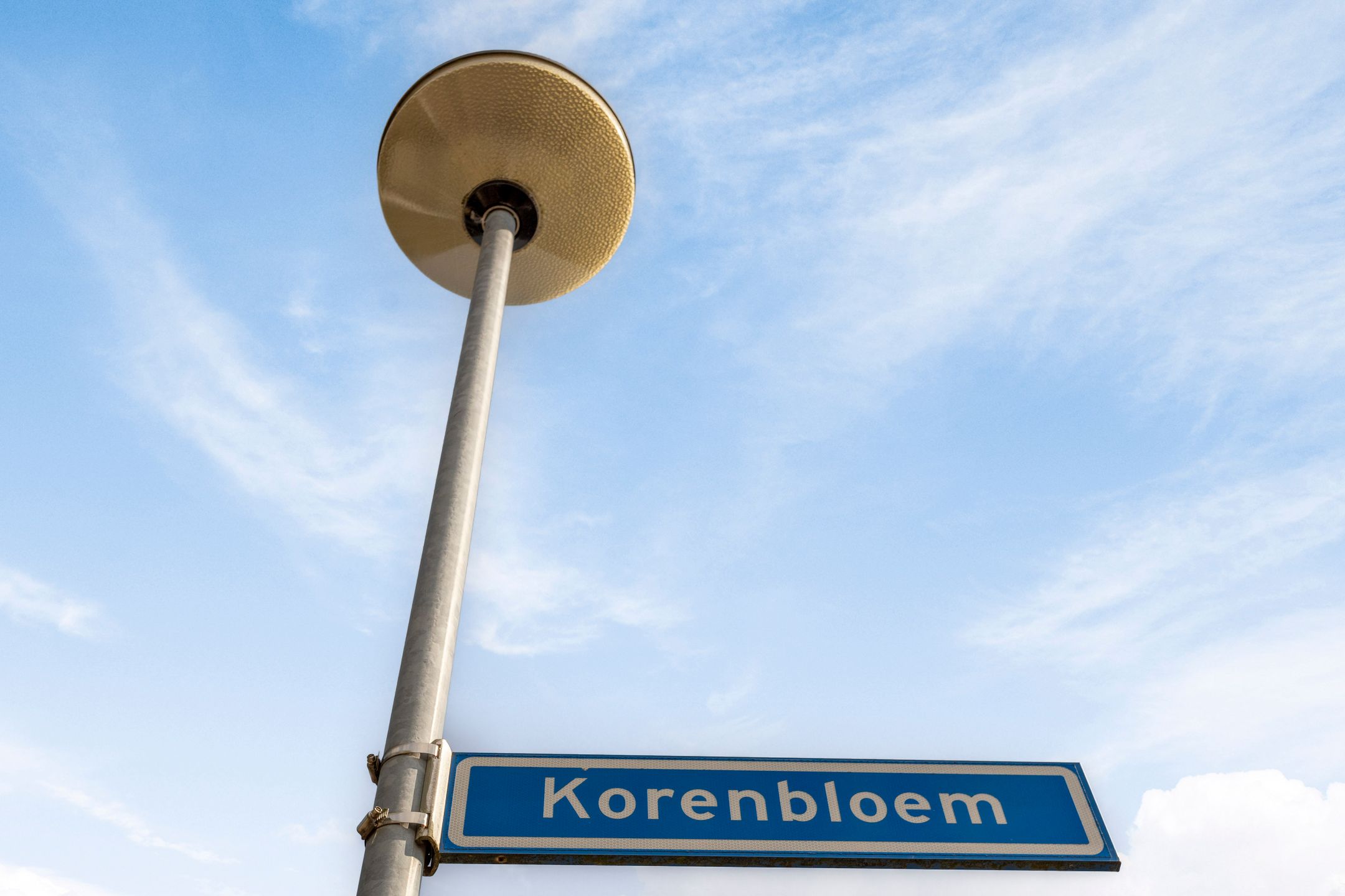 Foto 33 van Korenbloem 6