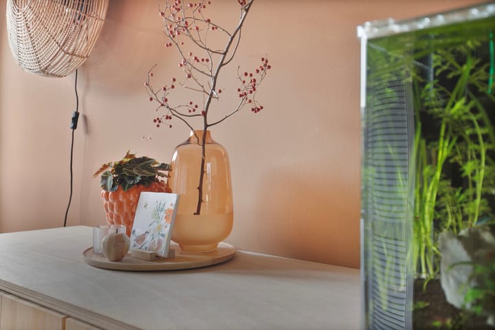 Foto 12 van Oranjestraat 3