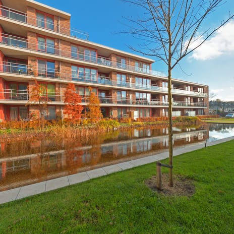 Gagelboschplein 464