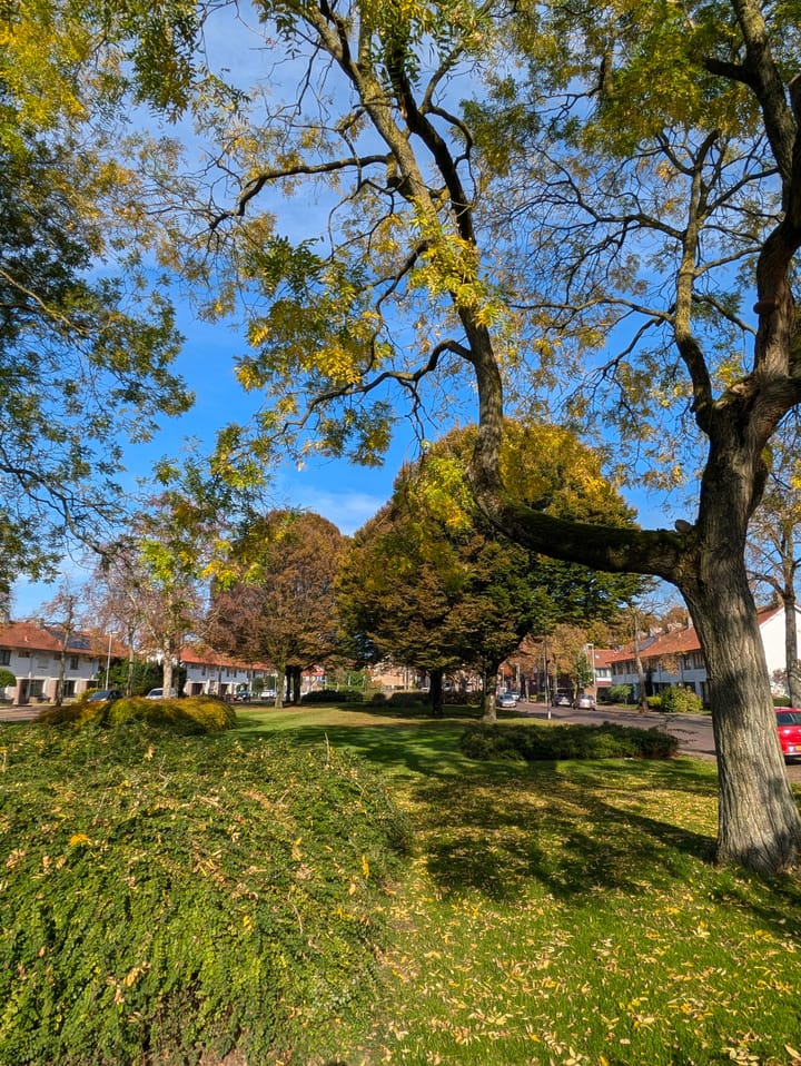 Foto 20 van Ockeghemstraat 1