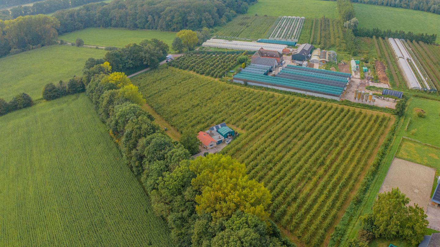 Foto 4 van Loenensestraat 1-A