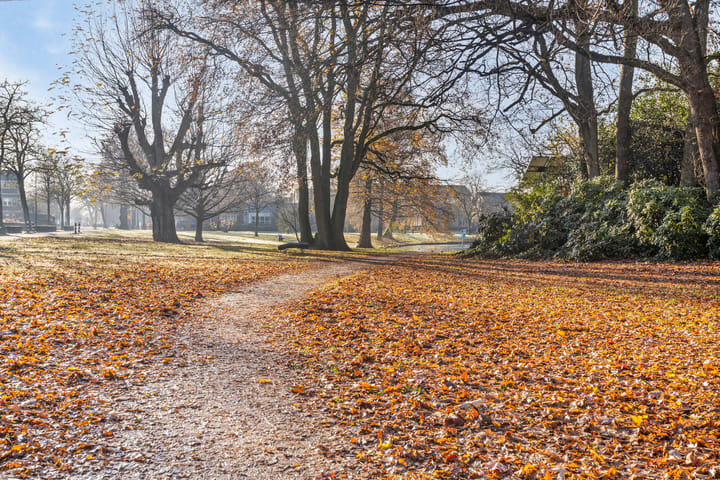 Foto 43 van Versterstraat 4