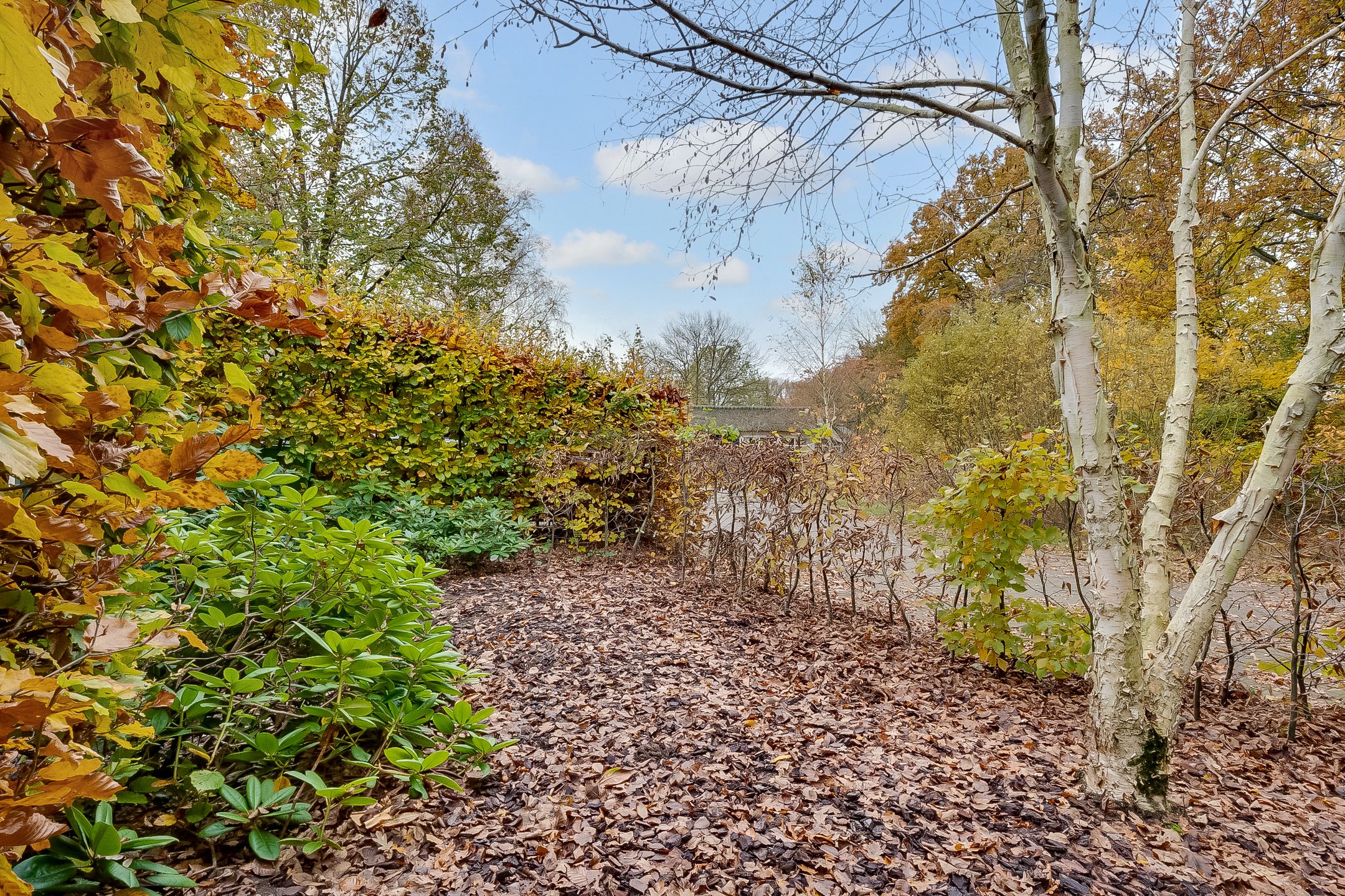 Foto 33 van Rading 2-A07