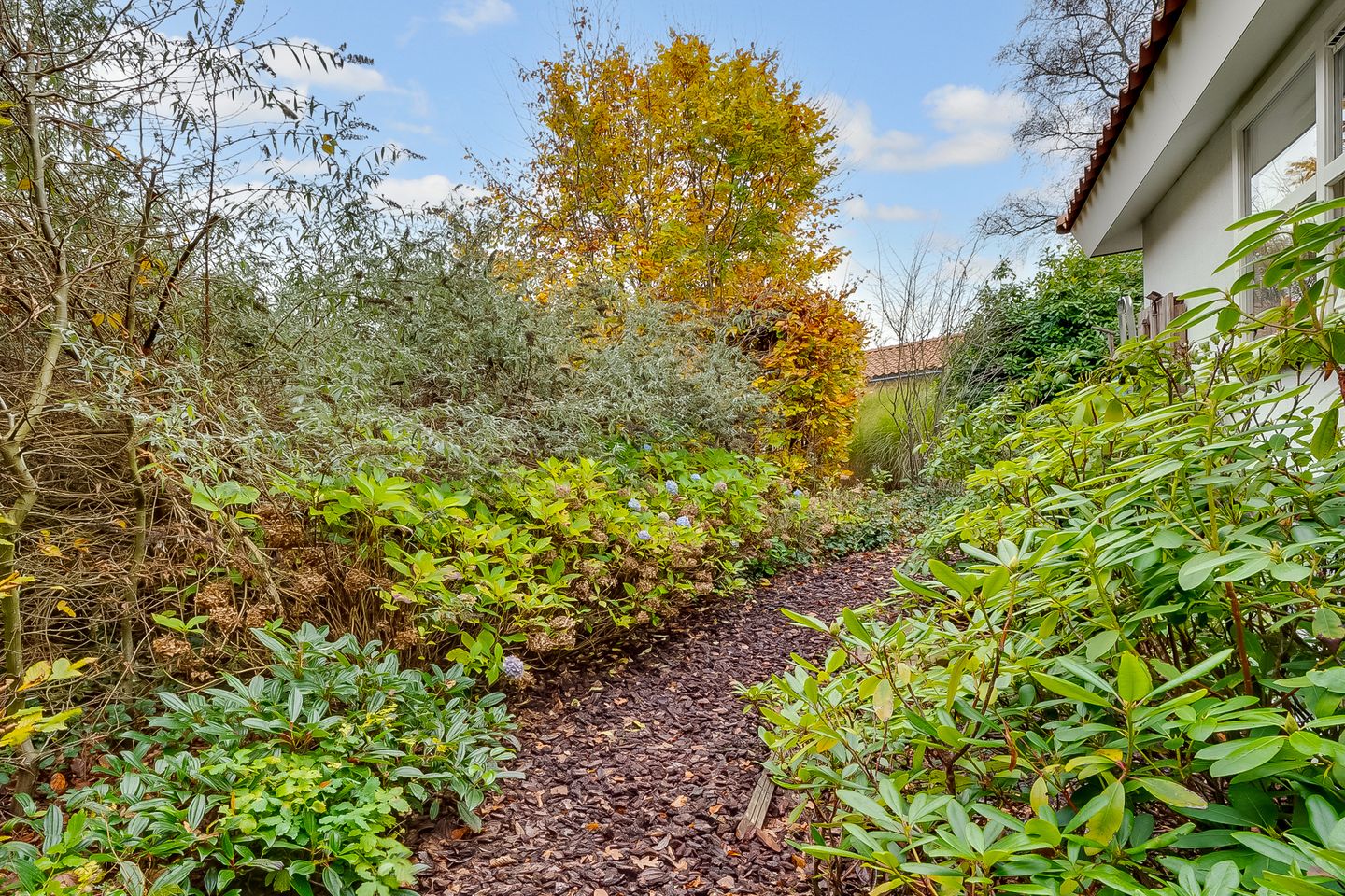 Foto 34 van Rading 2-A07