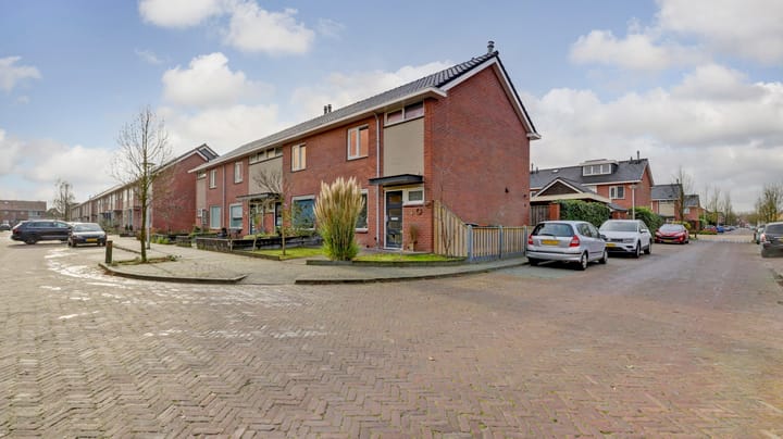 Foto 32 van Roemer Visscherstraat 2