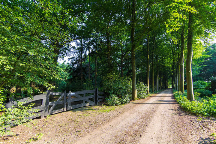 Bekijk foto 18 van Russendaalweg 20