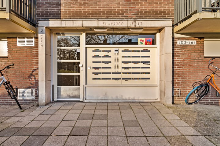 Foto 2 van Maassingel 228