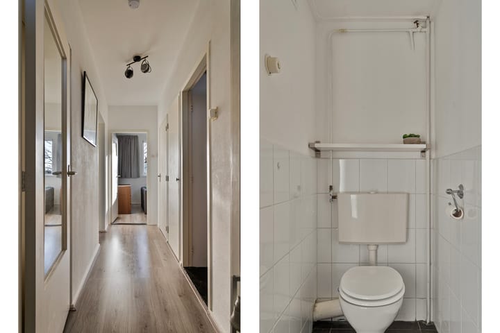 Foto 6 van Maassingel 228