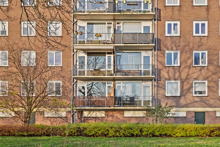 Foto 12 van Maassingel 228