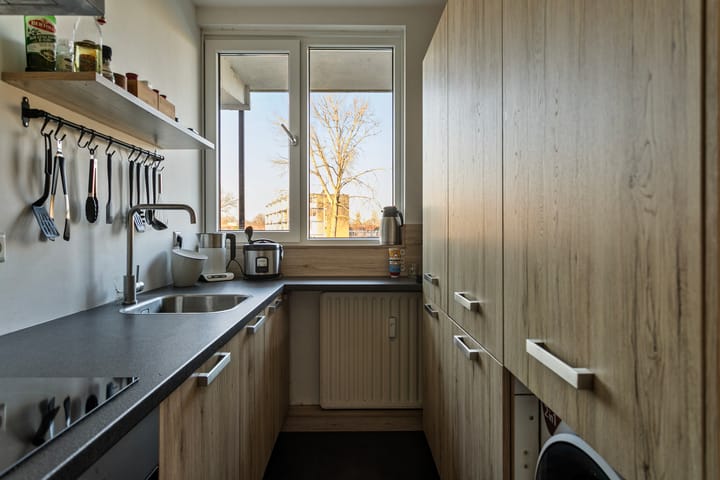 Foto 20 van Maassingel 228