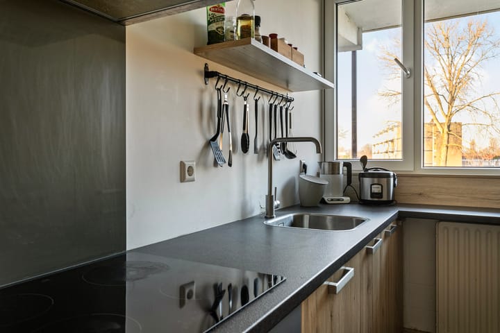 Foto 21 van Maassingel 228