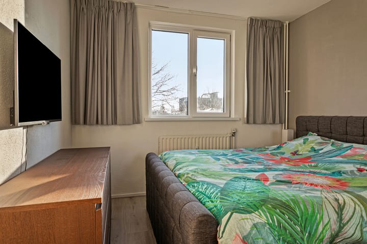 Foto 24 van Maassingel 228