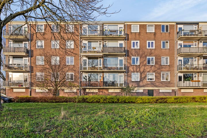 Foto 27 van Maassingel 228