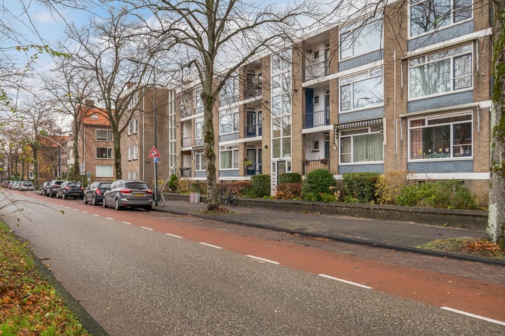 Foto 6 van Burggravenlaan 144