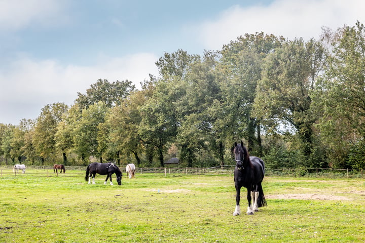 Bekijk foto 62 van Geersbroekseweg 27