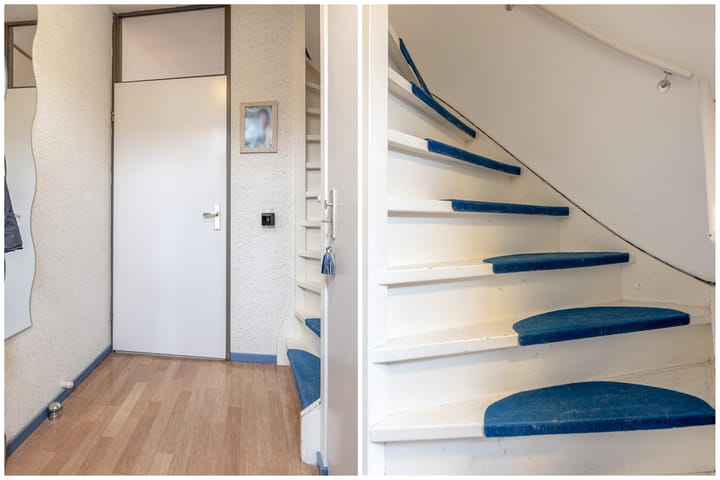 Foto 19 van Parkroos 50