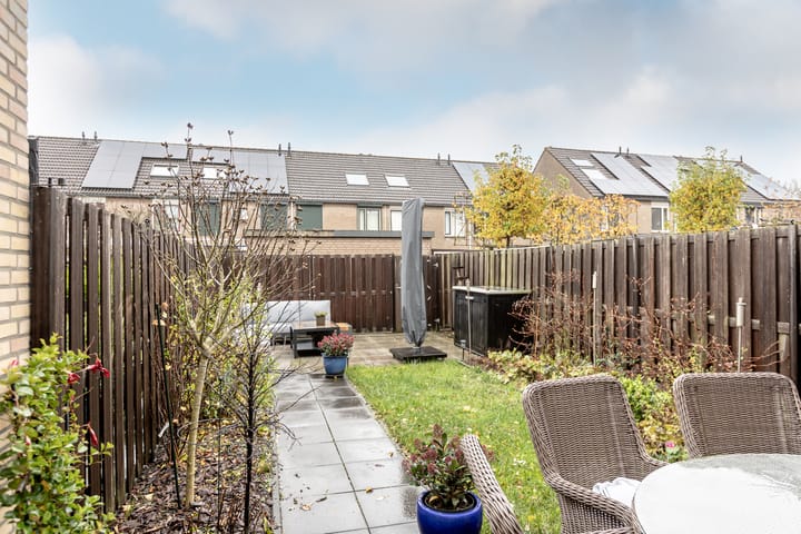 Foto 34 van Parkroos 50