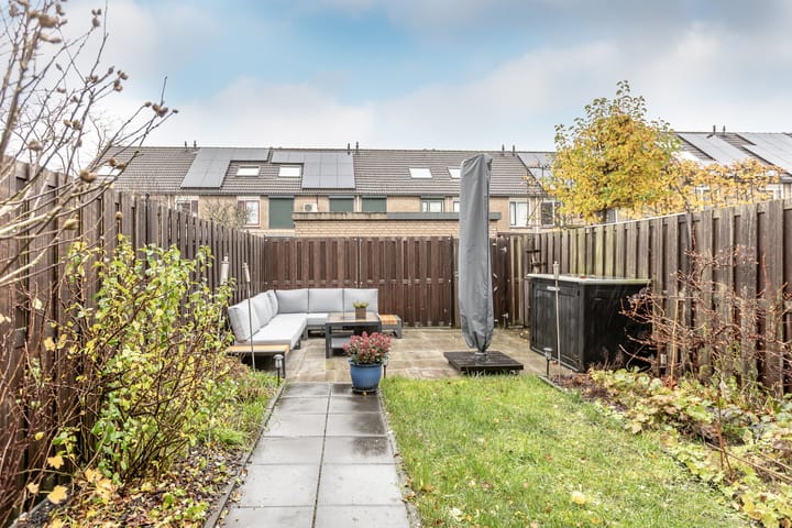 Foto 36 van Parkroos 50