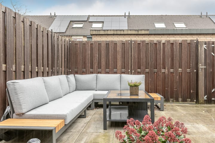 Foto 37 van Parkroos 50