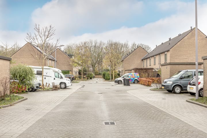 Foto 40 van Parkroos 50