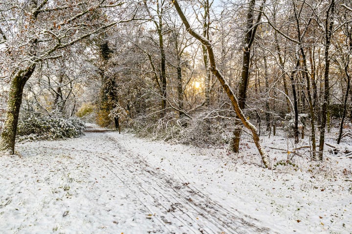 Bekijk foto 35 van Albert Oltmansweg 6