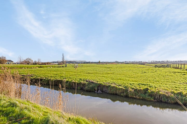 Bekijk foto 50 van Rodenrijseweg 523