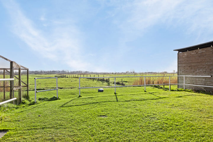 Bekijk foto 48 van Rodenrijseweg 523