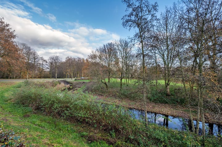 Foto 48 van Dopheidestraat 18