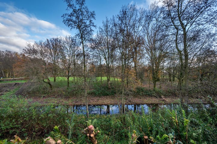 Foto 49 van Dopheidestraat 18