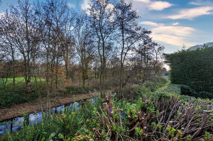 Foto 50 van Dopheidestraat 18