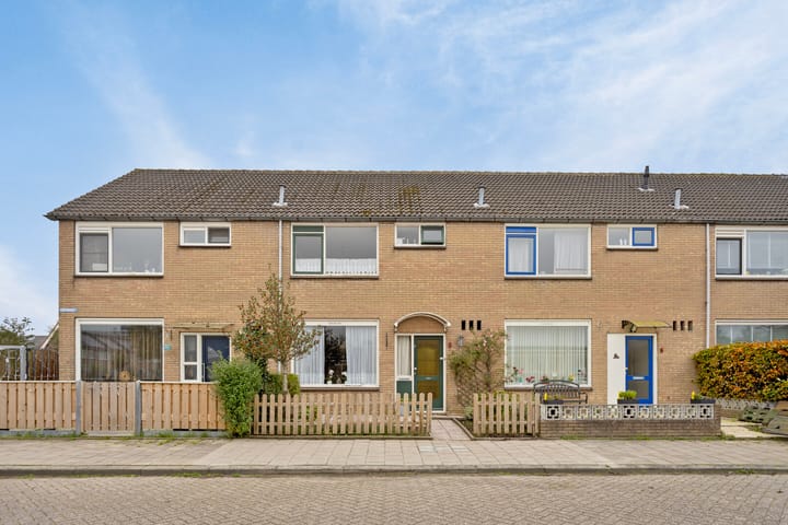 Foto 1 van Zeekraal 3