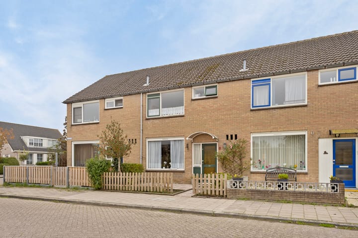 Foto 2 van Zeekraal 3