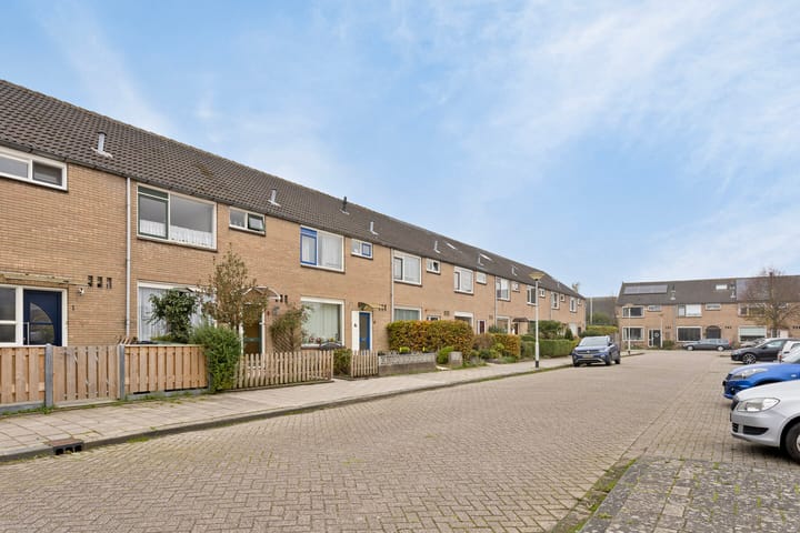 Foto 3 van Zeekraal 3