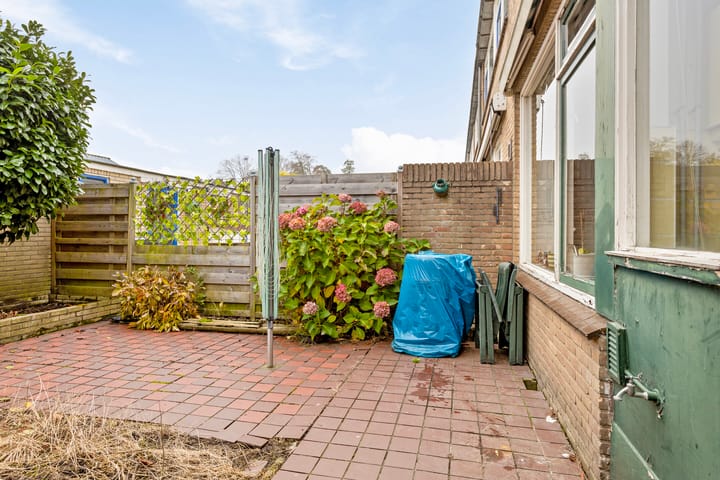 Foto 20 van Zeekraal 3