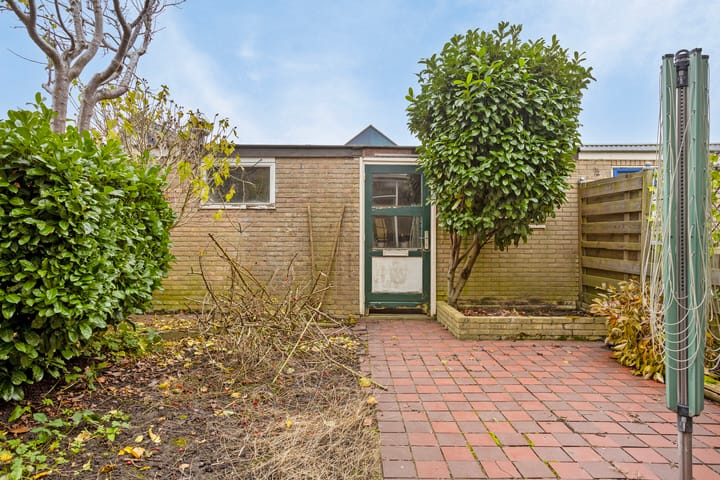 Foto 21 van Zeekraal 3