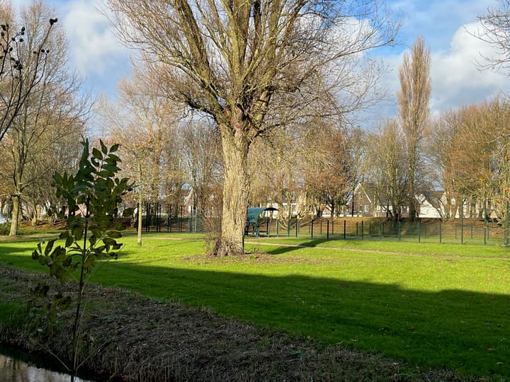 Foto 30 van Staringwende 17